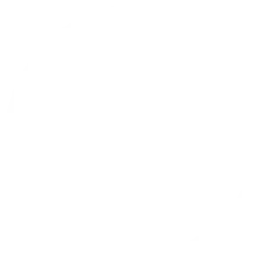 Wahtsapp the agent